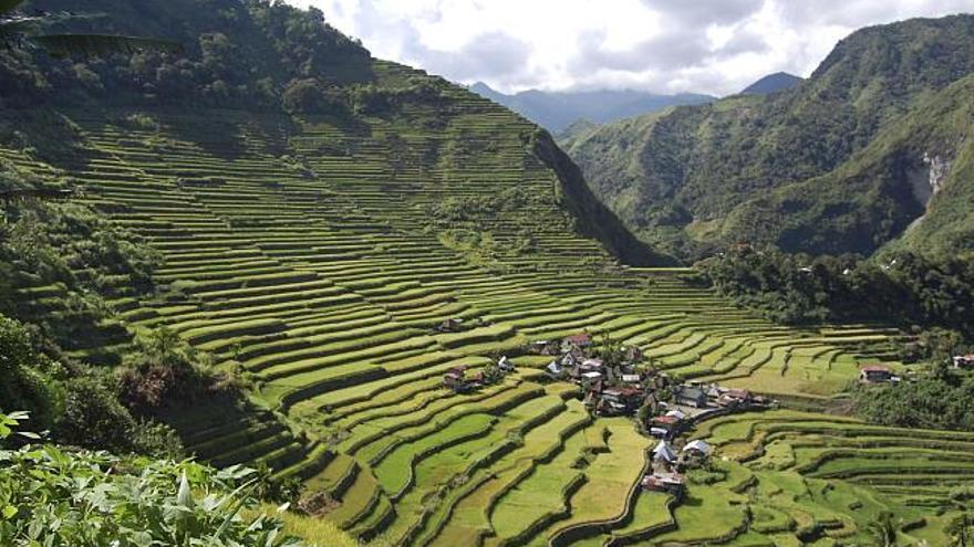 La contemplación de las milenarias terrazas de arroz de Banaue, en el norte de Filipinas, abre la puerta al mundo mágico de la tribu ifugao y a lo que sus habitantes proclaman como la &quot;octava maravilla del mundo&quot;. Banaue, con una población que ronda los 21.000 habitantes, comprende 19 pequeñas aldeas, en las que la gente no vive sorprendentemente del arroz, sino de la tala de árboles, al trabajo de la madera y la venta de sus cultivos. El lugar más conocido de la zona para descubrir la magia de las terrazas, que fueron ideada hace más de 2.000 años por los ifugao, es Batad, una aldea en la que conviven construcciones modernas con las tradicionales cabañas aborígenes. EFE/Paula Regueira