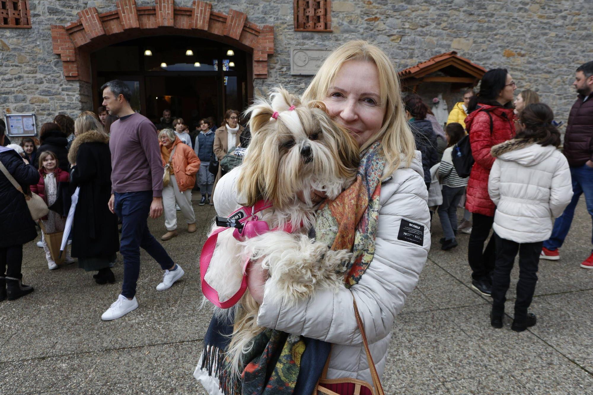 Bendición mascotas en Gijón en la parroquia de Viesques