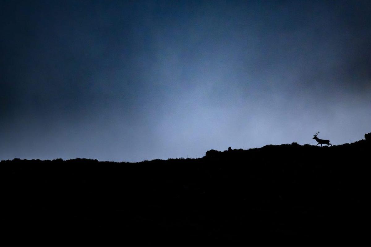 Somiedo, el concejo que retrata a los osos