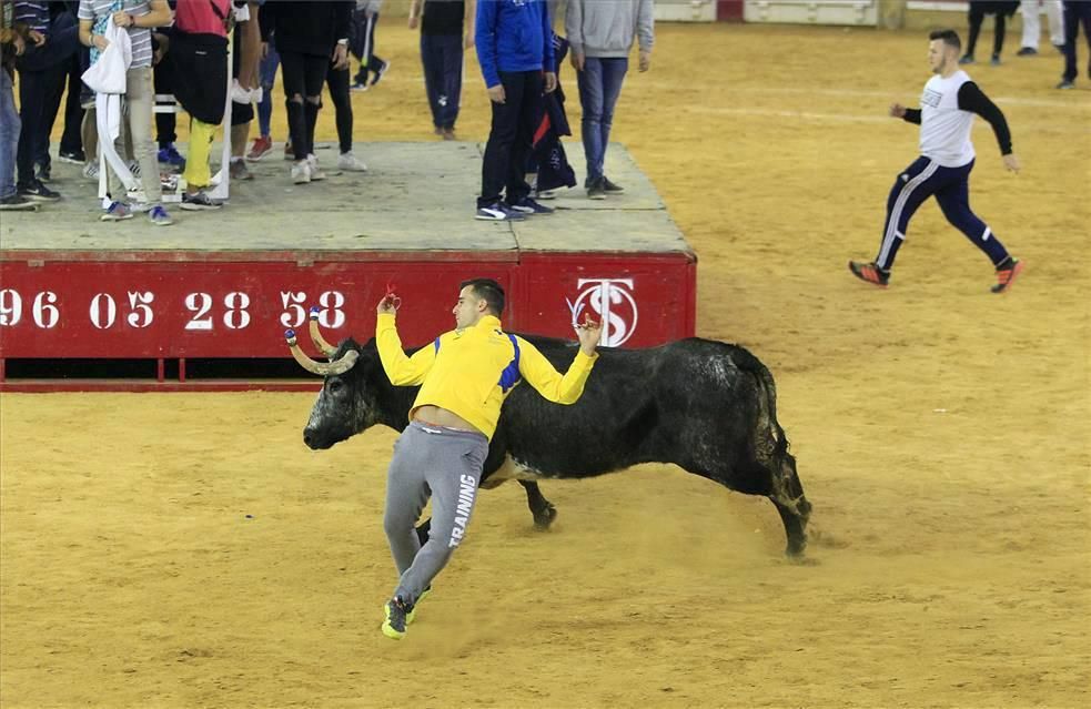 Mejores momentos de las Vaquillas