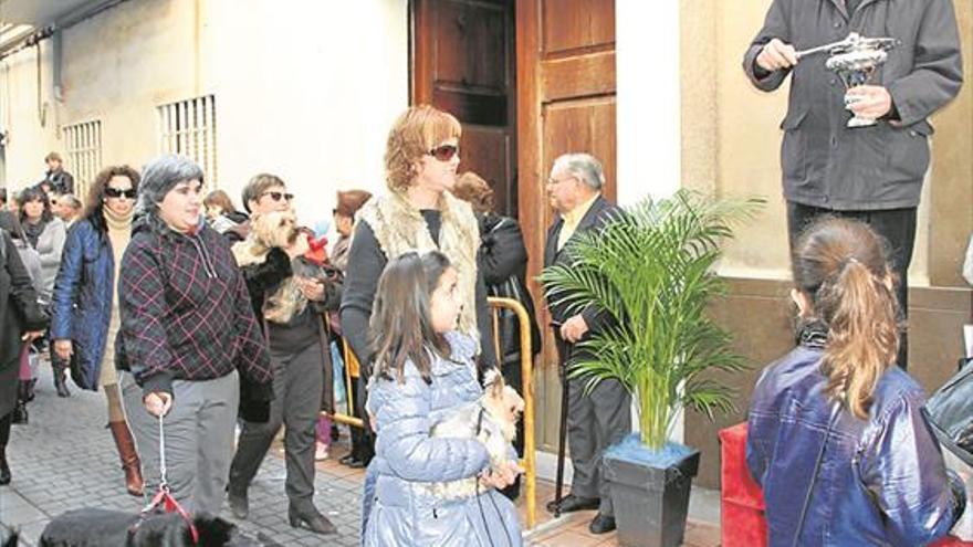 Cientos de mascotas en el típico pasacalle de Nules