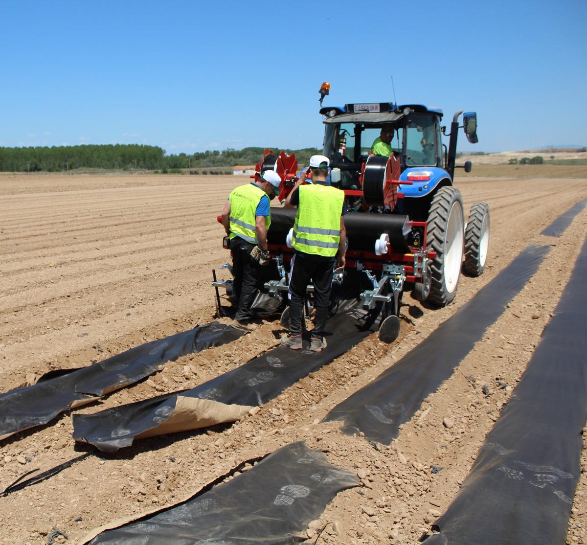 Colocación del AgroPaper