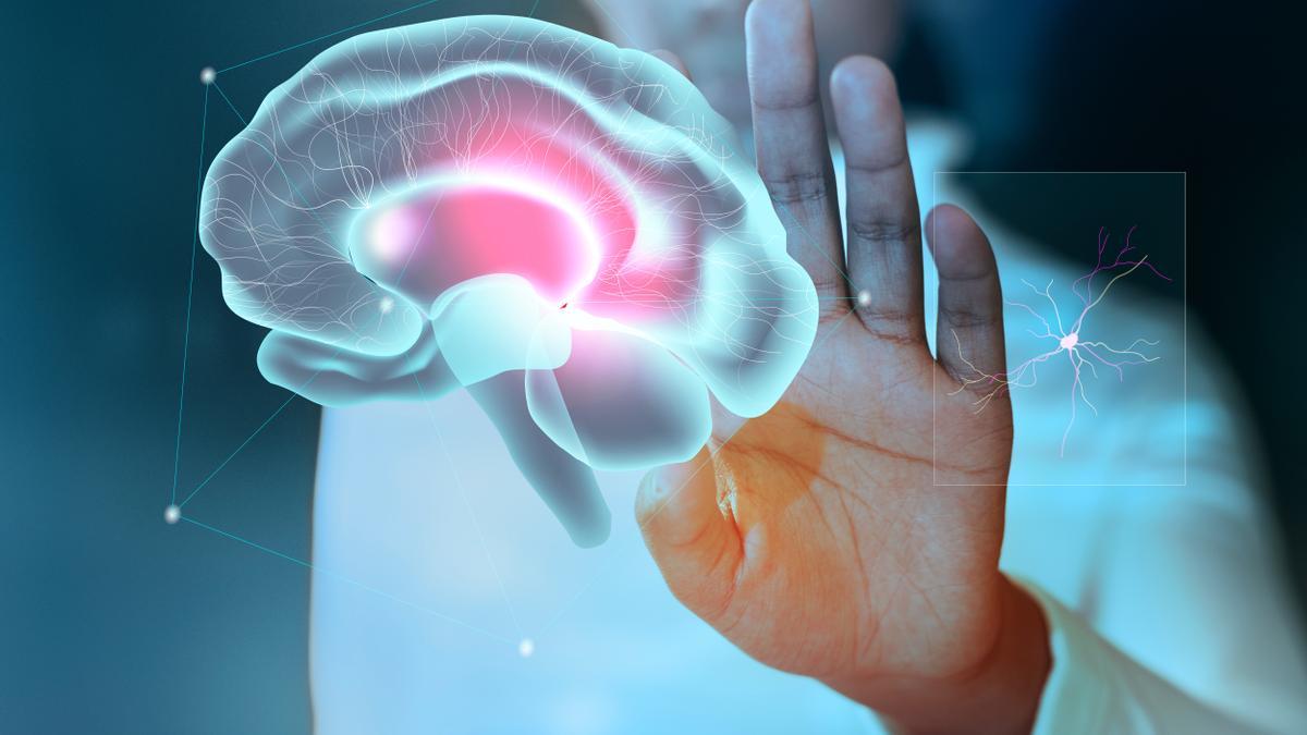 Los avances tecnológicos y en neurociencia han permitido abordar los tumores cerebrales de una forma integral