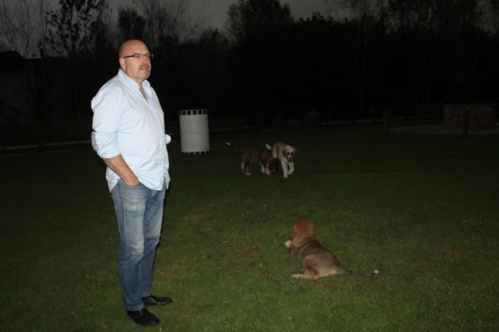 Animales desorientados en el Parque de la Vida de Valdés