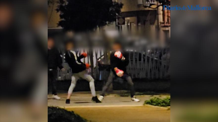 VÍDEO | Así son las peleas de boxeo callejeras en el Parque Wifi de Palma
