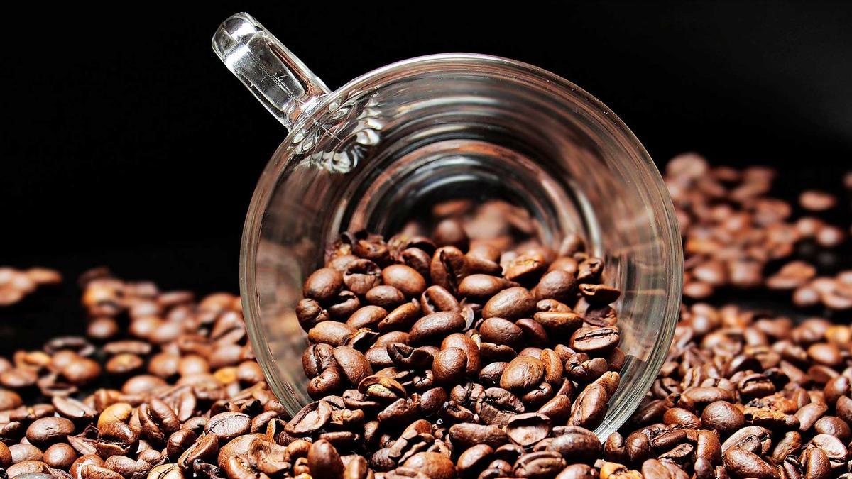Remedios para eliminar las hormigas de la cocina: los granos de café, una buena solución.