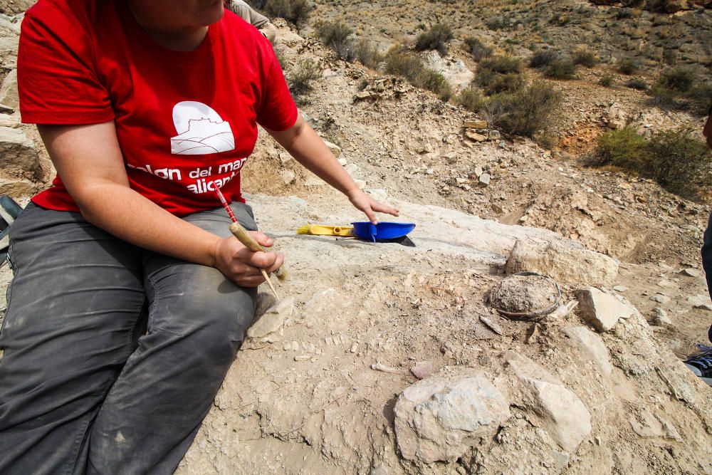 Excavaciones en el yacimiento arqueológico de Callosa de Segura