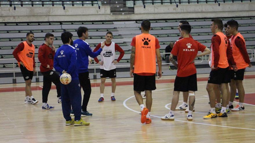 ElPozo estrena el nuevo parqué del Palacio de los Deportes