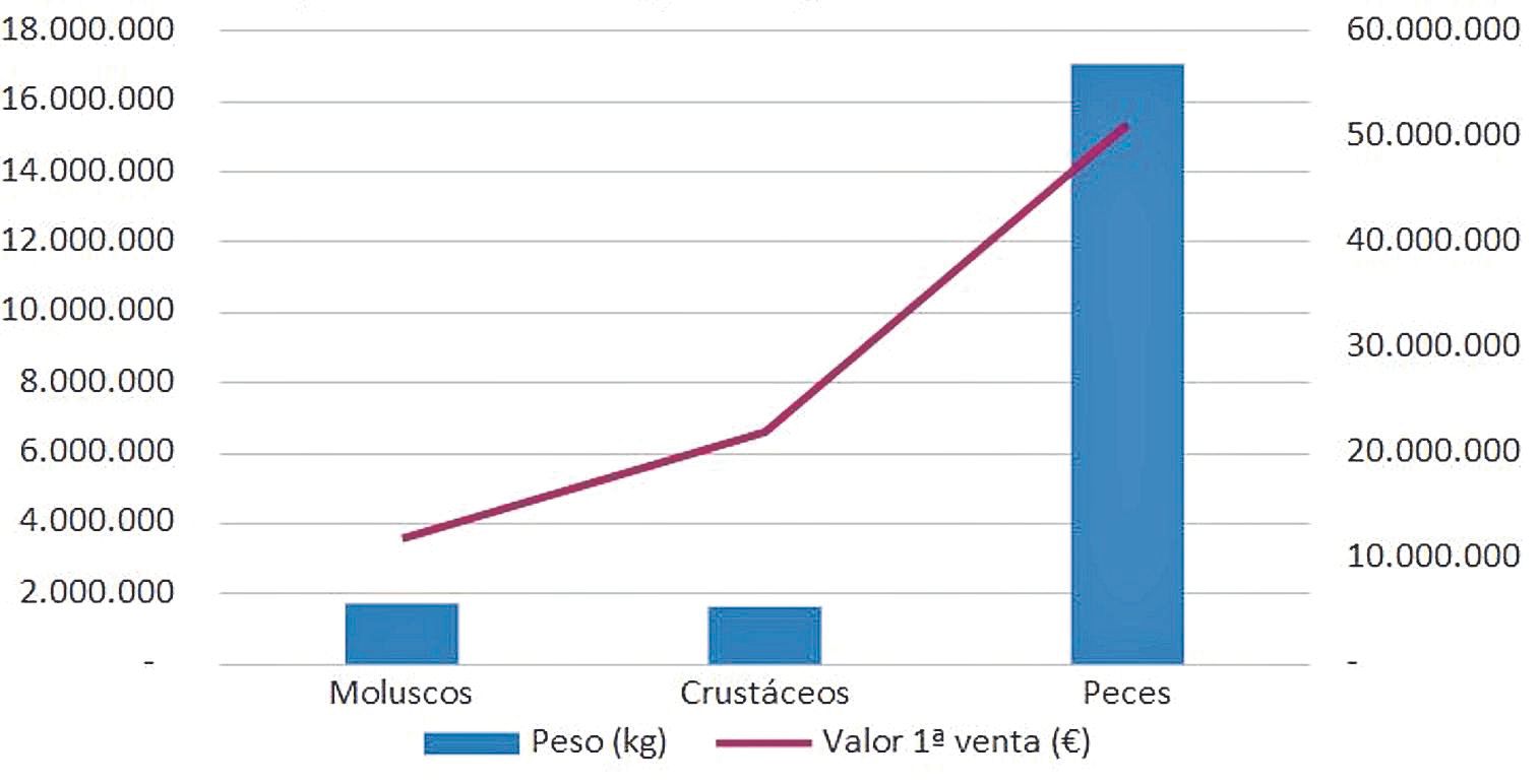 Composición de la pesca en la provincia de Alicante