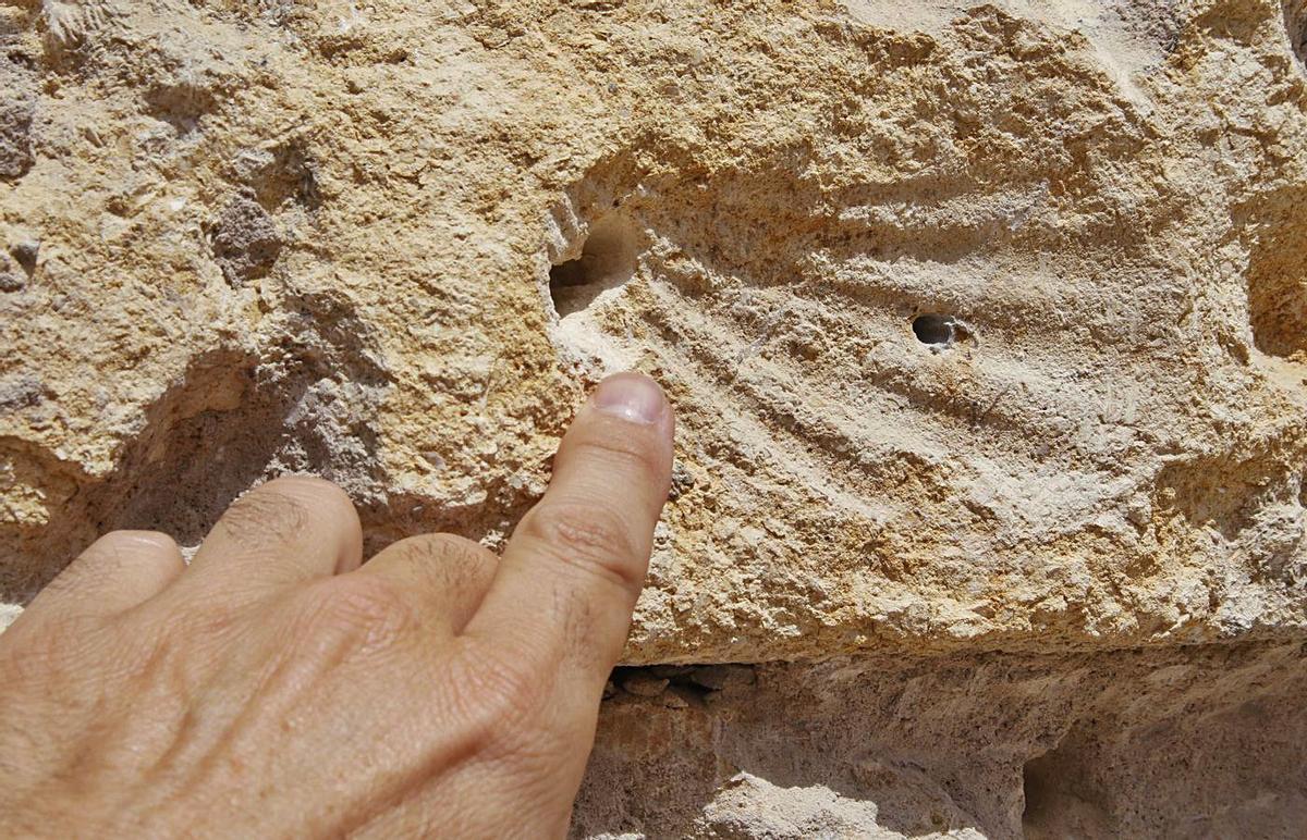Marca de fósiles 8 La retirada del mortero está dejando a la luz la piedra original, labrada con distintas formas.