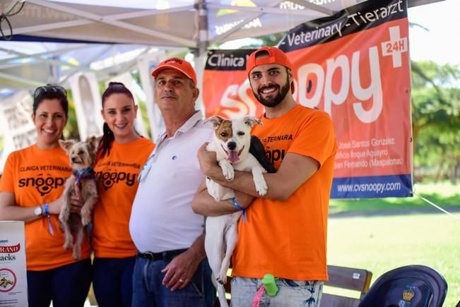 10/12/2016 MASPALOMAS. Feria de Mascotas Maspalomas 2016.Foto: SABRINA CEBALLOS