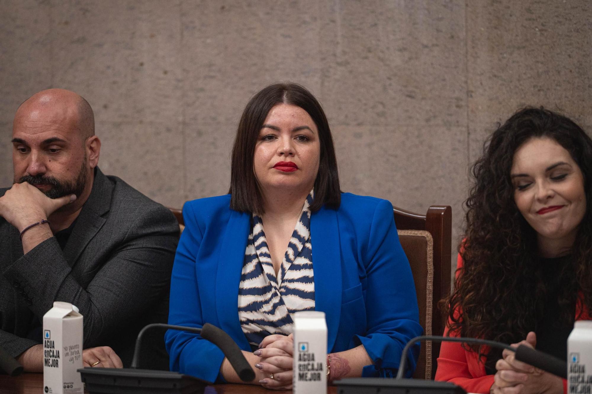 Moción de censura en Granadilla de Abona