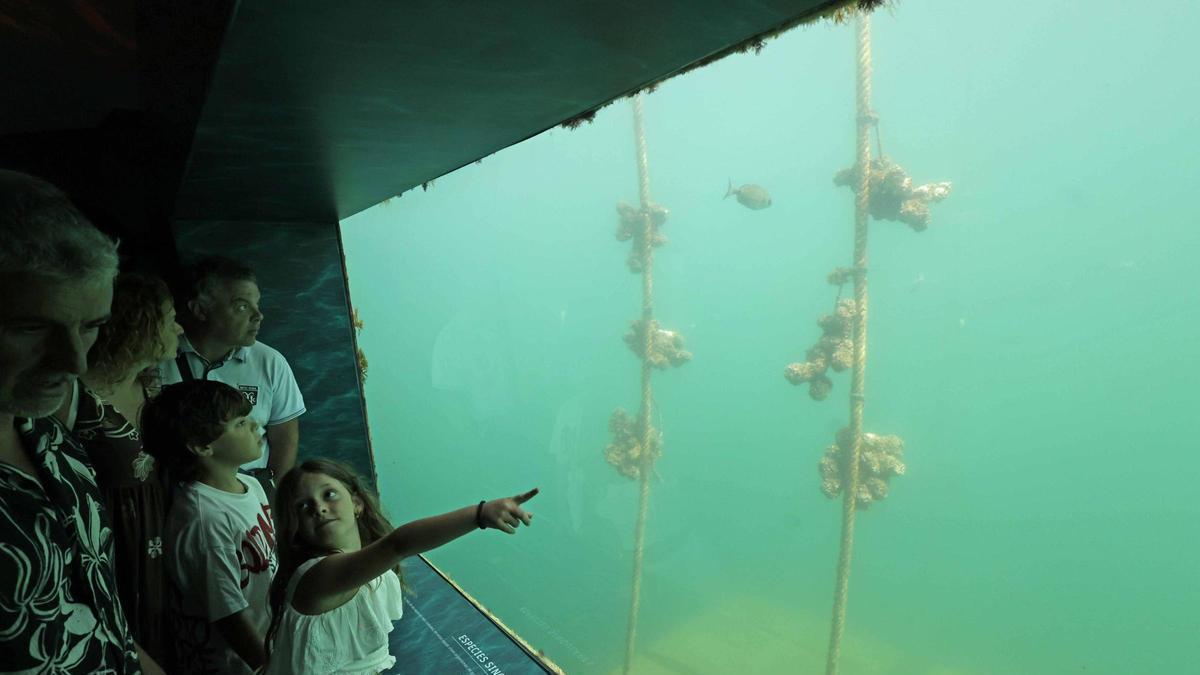 Atlántida cuenta con un visor submarino que permite ver el fondo del mar.