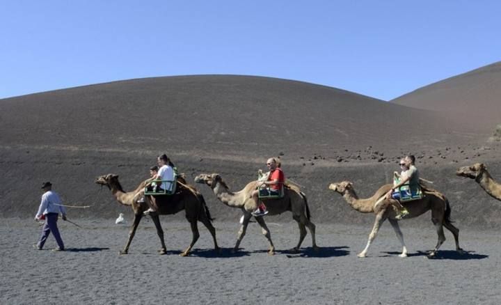 ctv-esy-turistas-en-camellos--12355324