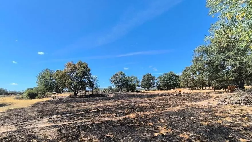 VÍDEO | Un nuevo conato de incendio pone en alerta a los vecinos de Gramedo