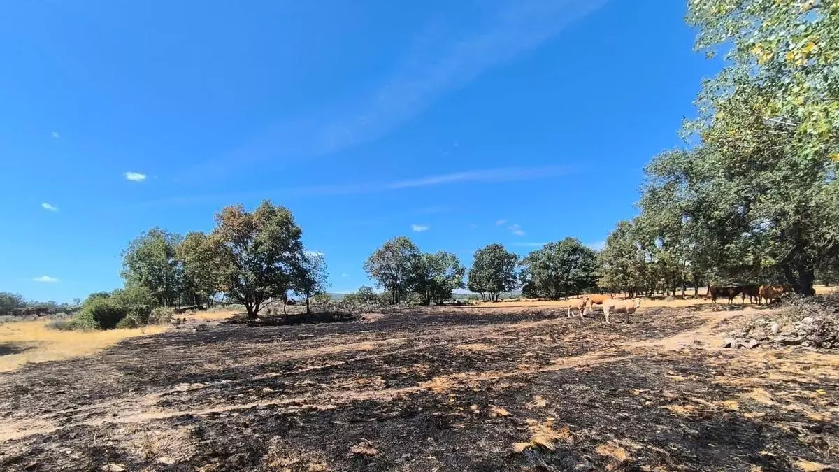 Nuevo conato de incendio en Gramedo