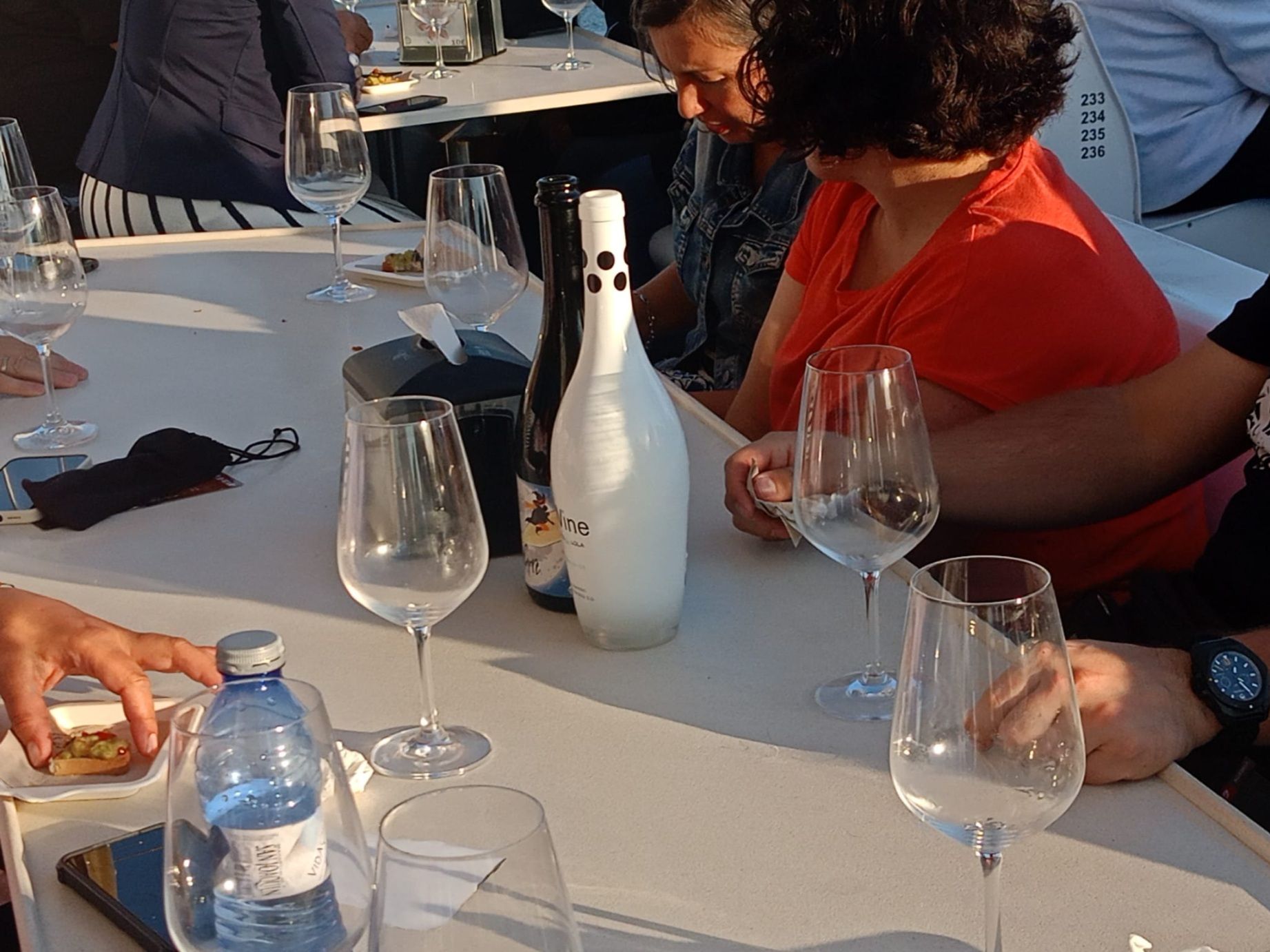 La ruta de «Viños singulares polo mar» a bordo del catamarán «Gran Cormorán Jet», esta tarde-noche.