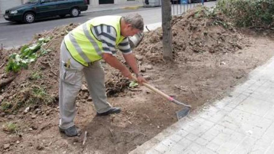 Uno de los operarios remueve la tierra con la azada en el parterre.