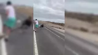 Pelea por robar en el interior de los coches aparcados en las piscinas naturales de Los Abrigos, Tenerife