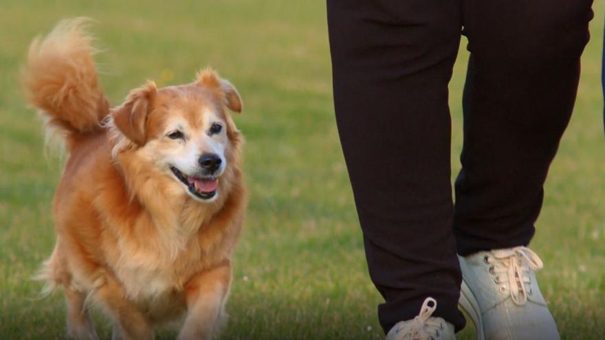 #EmulsaResponde: Las aceras de la ciudad están llenas de colillas y cacas de perros…