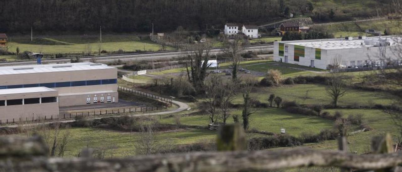 Las naves de las dos empresas que están ubicadas en el polígono de Villallana, sin urbanizar. | Luisma Murias