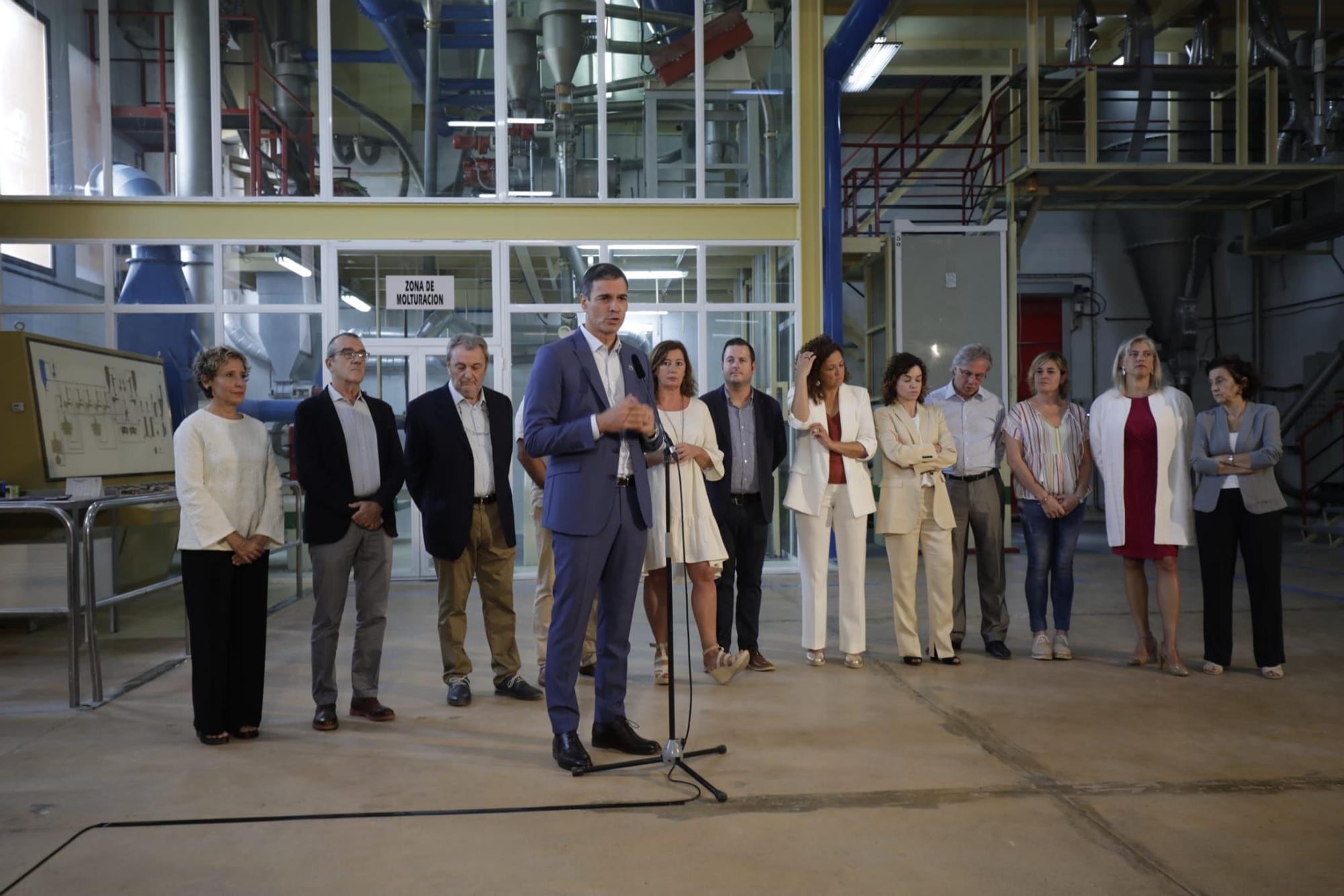 Pedro Sánchez visita la fábrica CAROB en Marratxí
