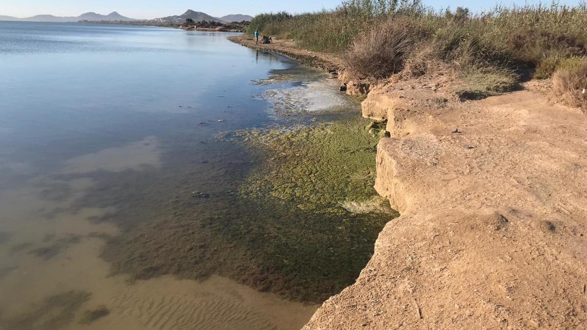 Otro grito contra la destrucción de la laguna