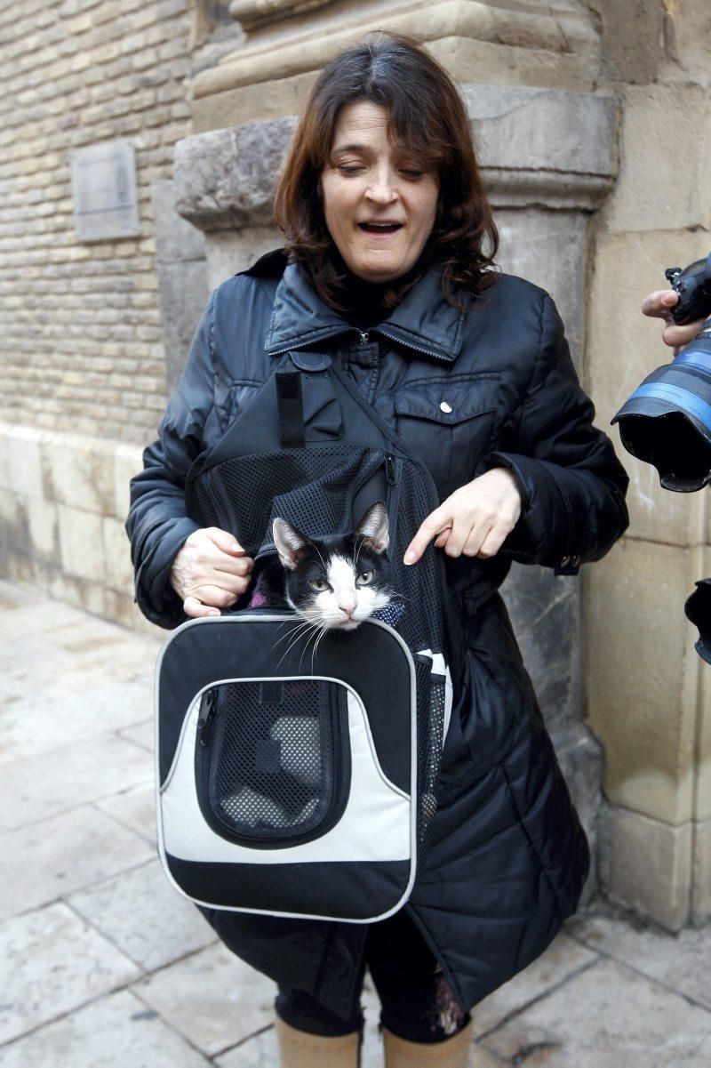 Celebración de San Antón, bendición de los animales