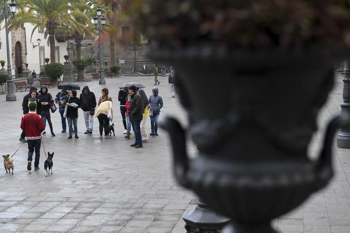 15-11-19 LAS PALMAS DE GRAN CANARIA.PLAZA DE SANTA ANA-PRISION DE SAN JUAN. LAS PALMAS DE GRAN CANARIA. Marecha contra los CIES. Fotos: Juan Castro.  | 15/11/2019 | Fotógrafo: Juan Carlos Castro