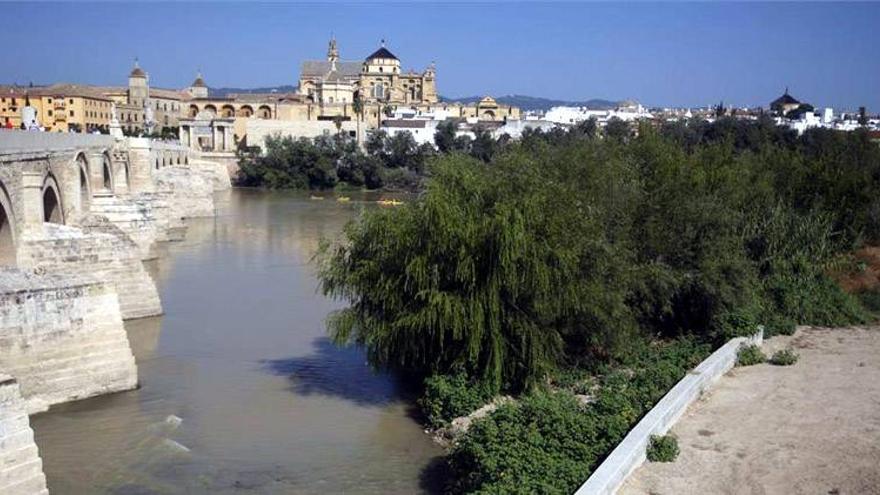 Confederación da a conocer hoy los proyectos de limpieza del río