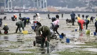 Alivio en la ría de Pontevedra, pero con prudencia: «Está mejor de lo esperado»