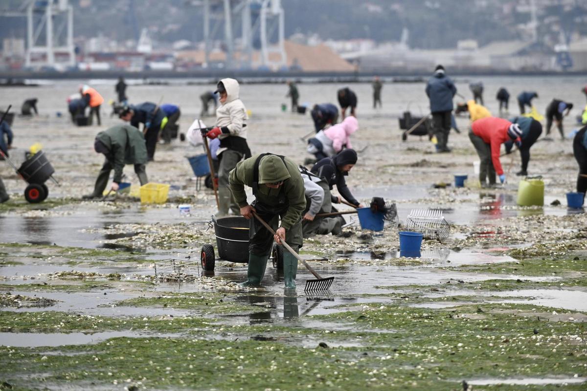 Mariscadores faenando ayer en Campelo.