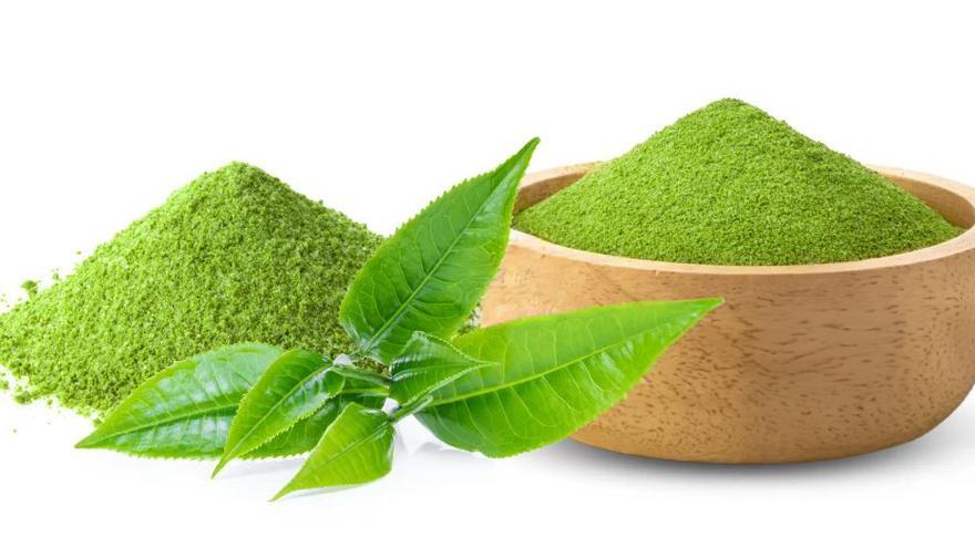 Las 5 enfermedades que combate la moringa