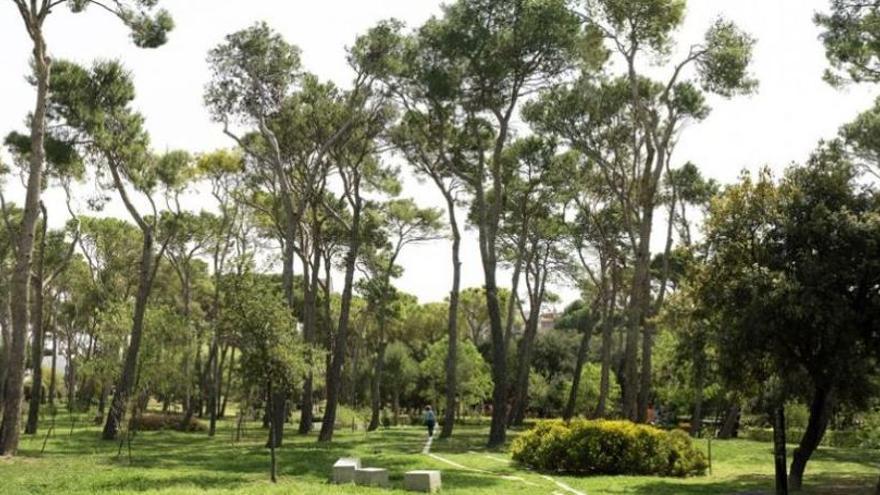 El Parc Bosc de Figueres.