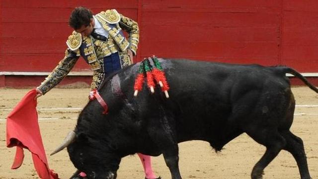 David Fandila, El Fandi, en una actuación.