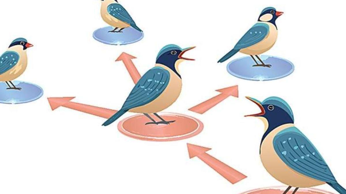 Transmisión en serie de mensajes desinformativos en una bandada de aves, propagando una alarma en ausencia de una amenaza real.