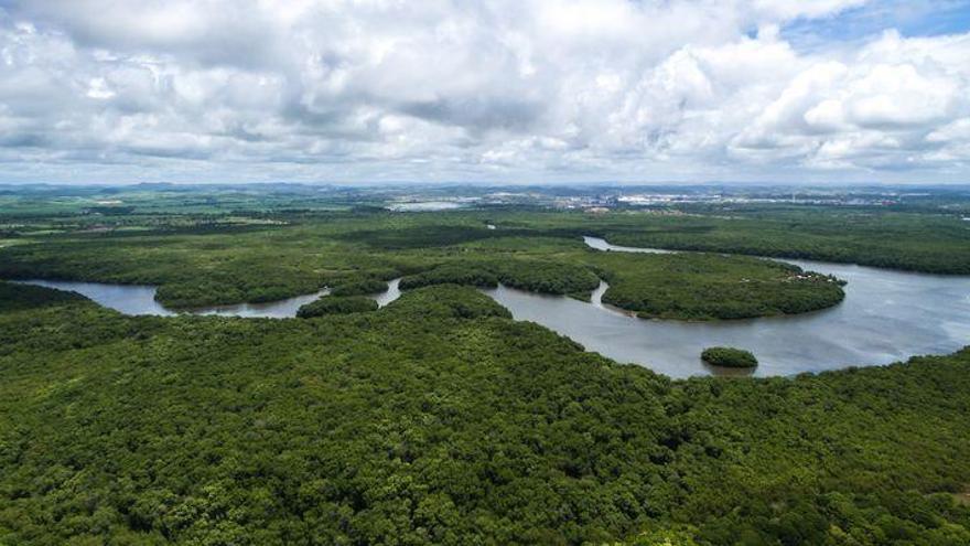 Los tres mayores bancos privados de Brasil: Santander, Bradesco, Itaú Unibanco, por la sostenibilidad del Amazonas