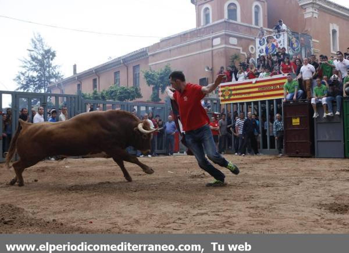GALERÍA DE FOTOS - Fiestas de San Pascual bou al carrer