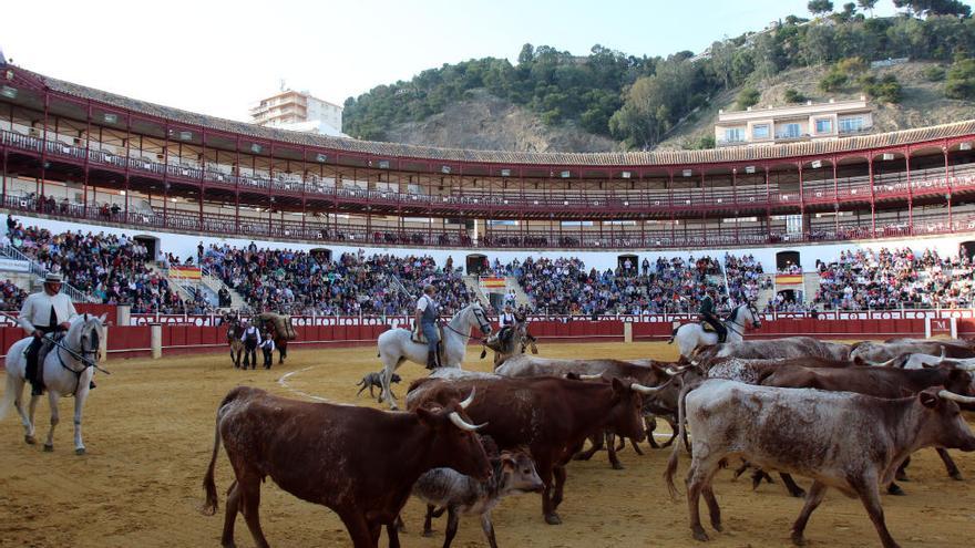 Un espectáculo ecuestre en la plaza de toros de La Malagueta