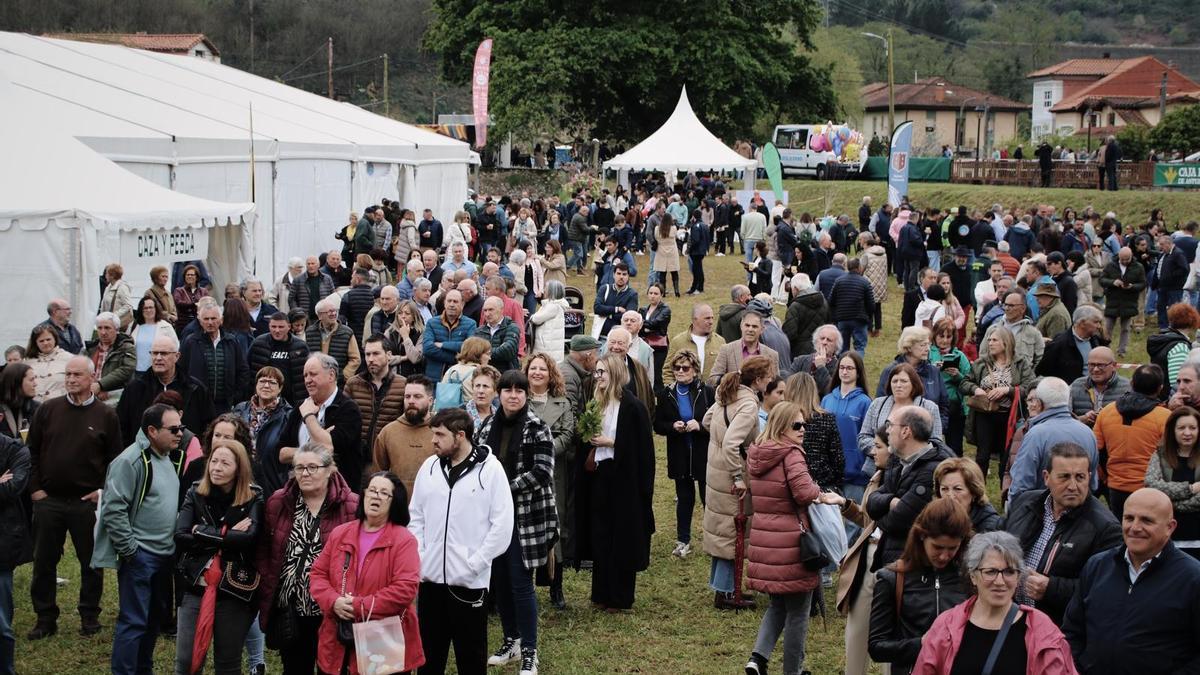 Asistentes, ayer, a la Feria del Salmón de Cornellana (Salas).
