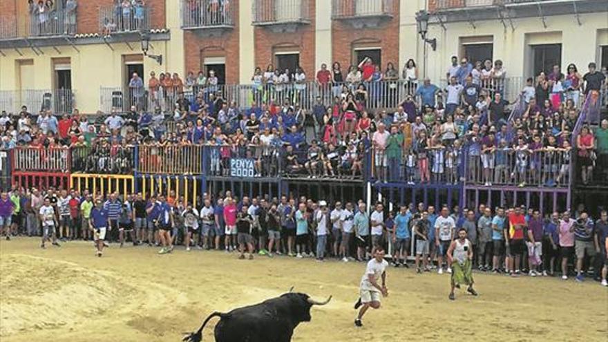 Nules recupera la entrada de vaquillas para abrir los actos taurinos de fiestas