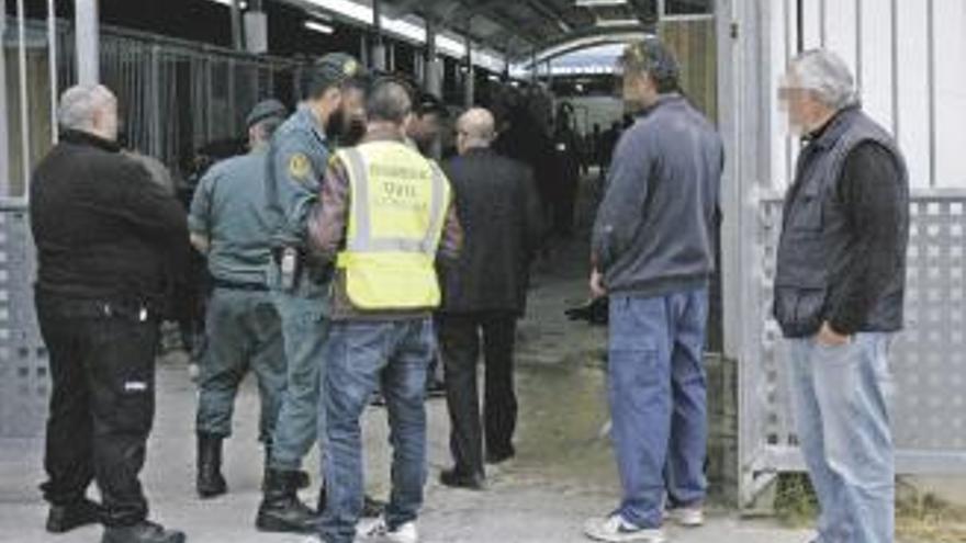 Agentes del Seprona de la Guardia Civil durante una operación anterior en Palma //FDV