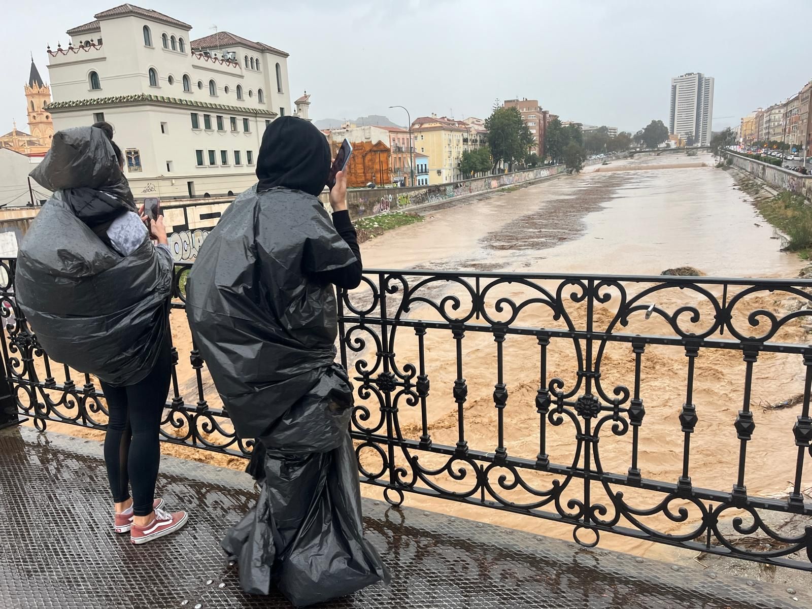 El río Guadalmedina, el pasado noviembre.