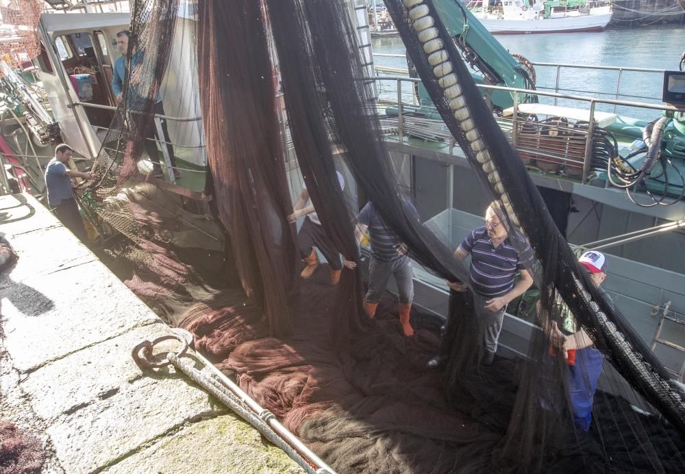Del mar al armario: las redes se reciclarán en la industria textil