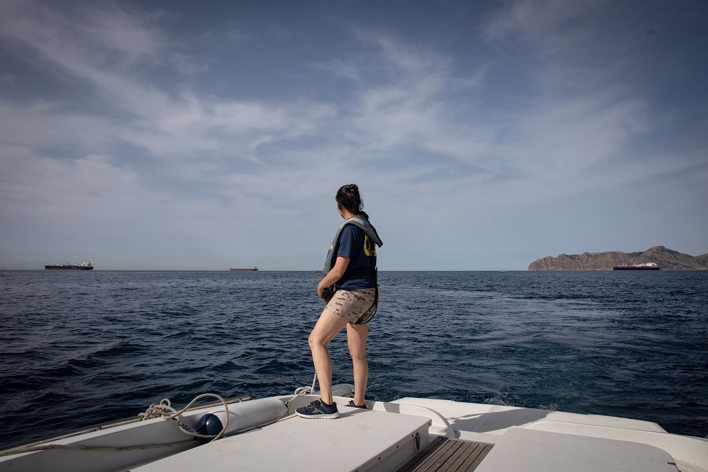 Demostración en Cartagena del nuevo robot de la Armada, el ROV ‘Leopard’