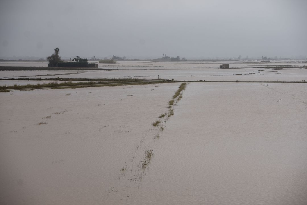 Vista de l'Albufera y los campos de arroz inundados.