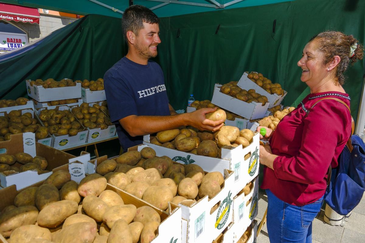 Fiesta del Agricultor y la papa de San Mateo. En la imagen, actuación de Parranderos de Global |