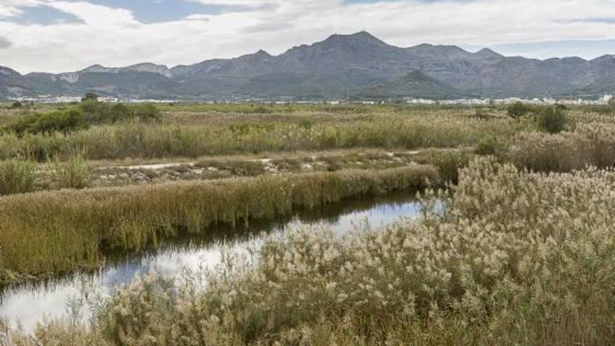 El río Vaca a su paso por el término de Xeraco.