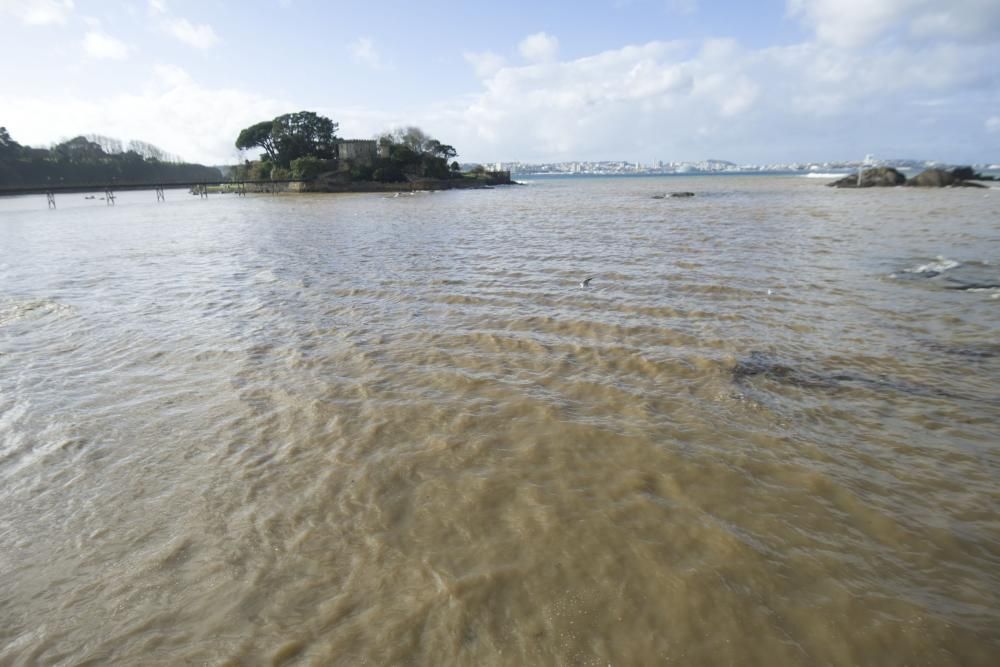 La bahía de Santa Cruz, otra vez teñida de marrón