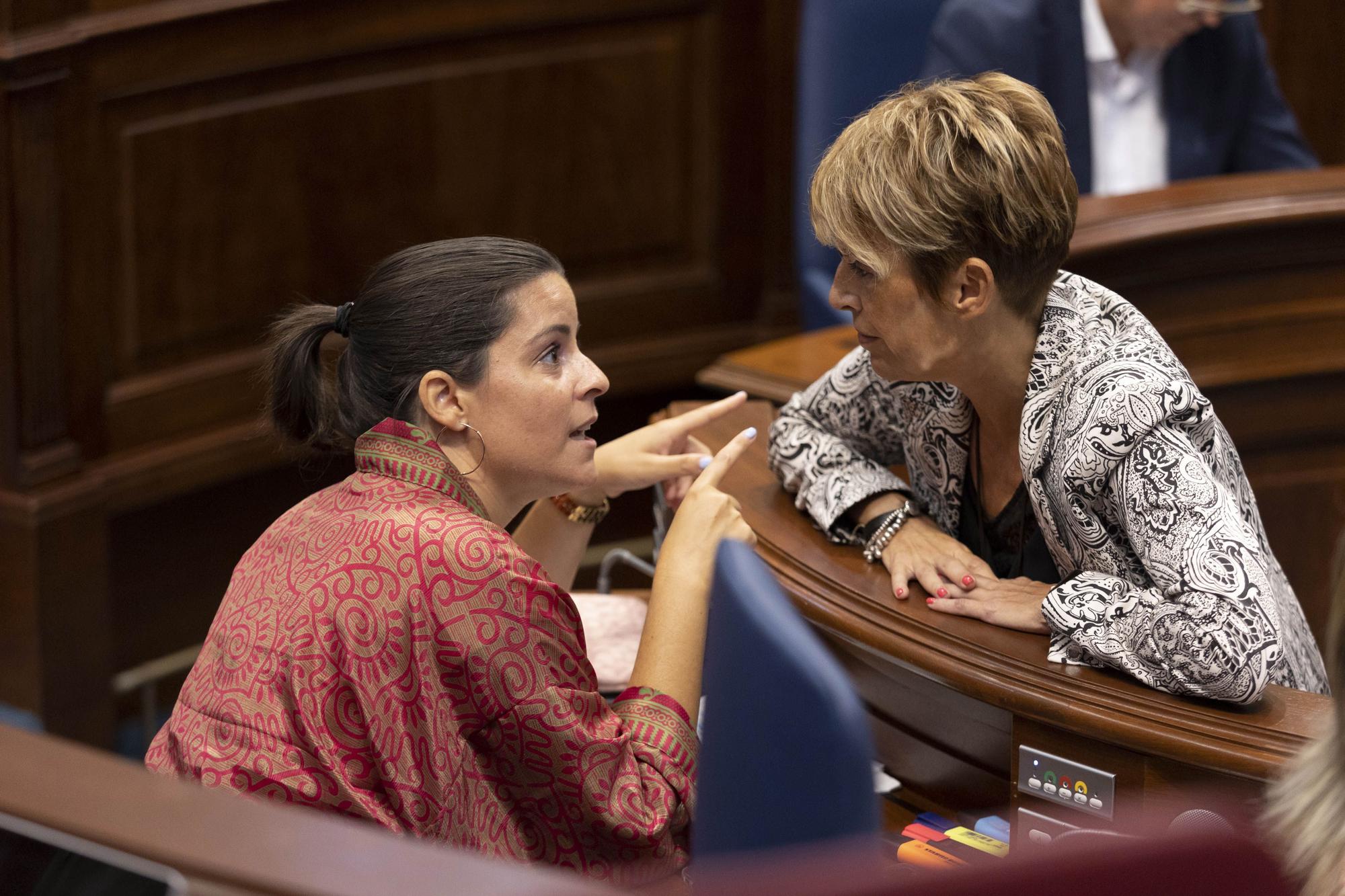 Pleno del Parlamento de Canarias